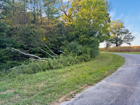 0 Fairview Church Rd, Mckenzie, TN 38201