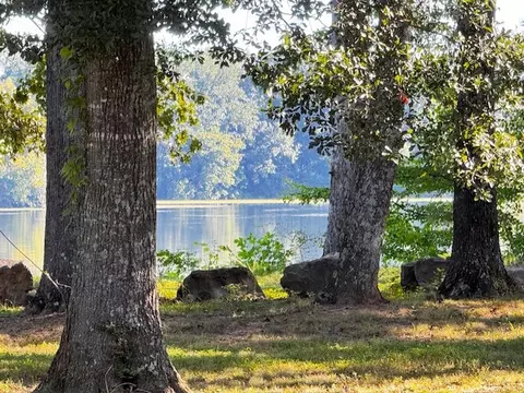0 Finney Rd, Decherd, TN 37324 photo 9