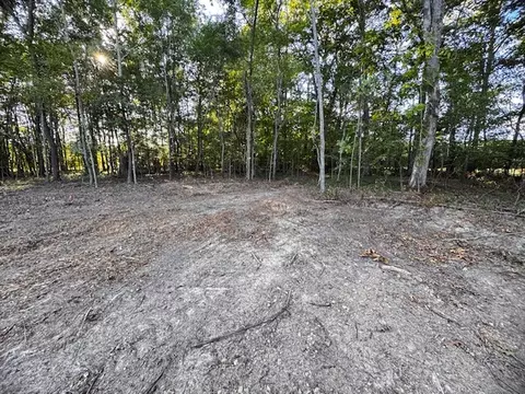 0 Finney Rd, Decherd, TN 37324 photo 4
