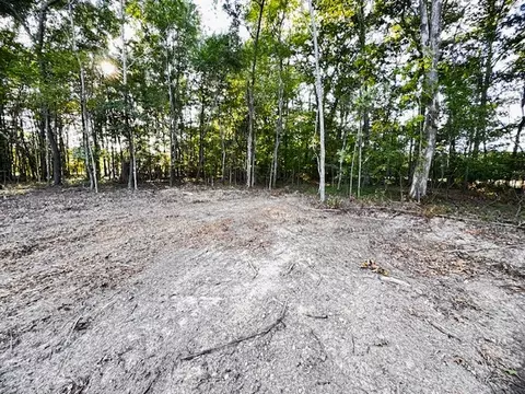 0 Finney Rd, Decherd, TN 37324 photo 5