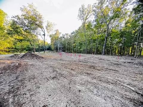 0 Finney Rd, Decherd, TN 37324 photo 7
