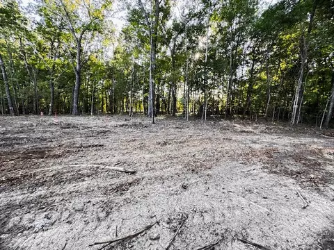 0 Finney Rd, Decherd, TN 37324 photo 6