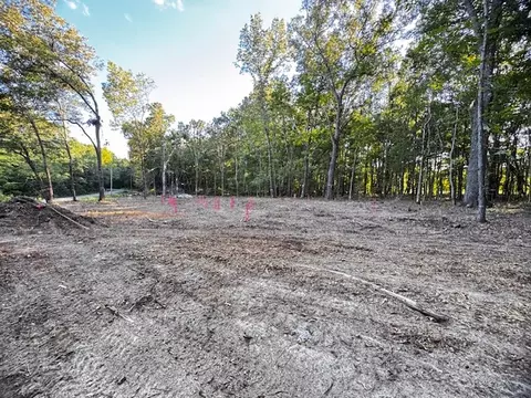 0 Finney Rd, Decherd, TN 37324 photo 3