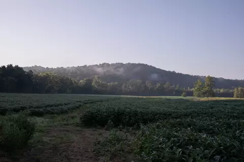 Other - 0 Collier Bend Rd, Dickson, TN 37055 photo 12 of 35