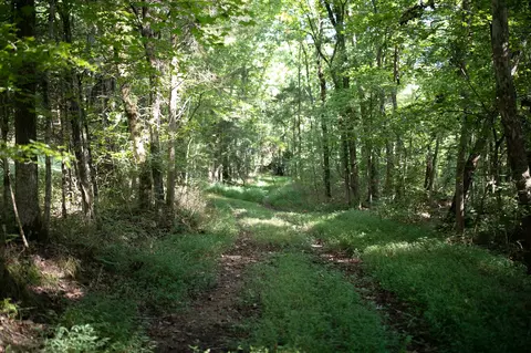 Other - 0 Collier Bend Rd, Dickson, TN 37055 photo 28 of 35