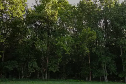 Other - 0 Collier Bend Rd, Dickson, TN 37055 photo 15 of 35