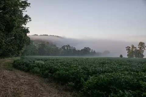 Other - 0 Collier Bend Rd, Dickson, TN 37055 photo 5 of 35