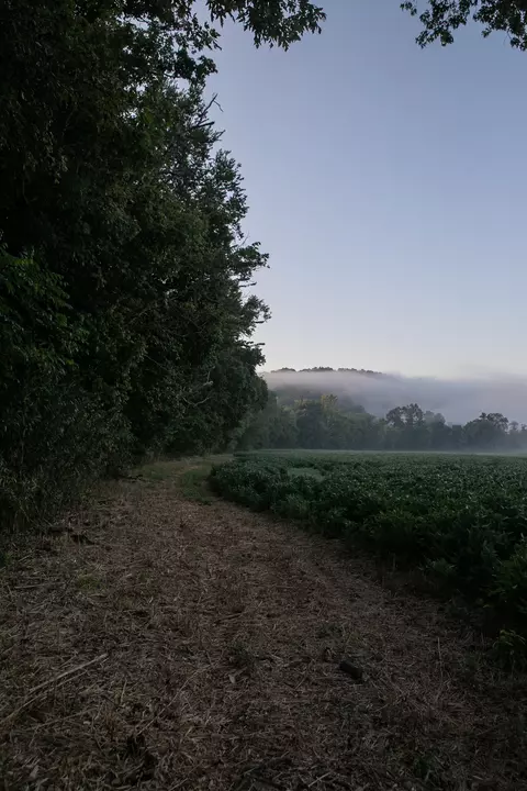 Other - 0 Collier Bend Rd, Dickson, TN 37055 photo 7 of 35