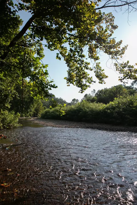 View/Area - 0 Collier Bend Rd, Dickson, TN 37055 photo 19 of 36