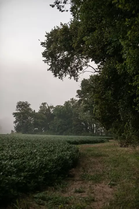Other - 0 Collier Bend Rd, Dickson, TN 37055 photo 4 of 35