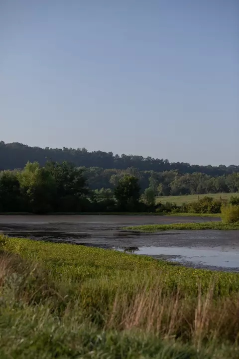 View/Area - 0 Collier Bend Rd, Dickson, TN 37055 photo 18 of 36