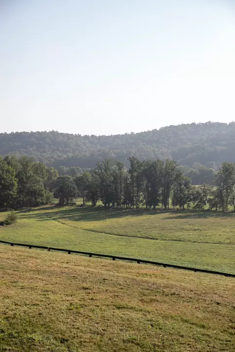 Other - 0 Collier Bend Rd, Dickson, TN 37055 photo 19 of 35