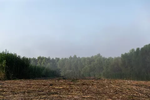 Other - 0 Collier Bend Rd, Dickson, TN 37055 photo 11 of 35