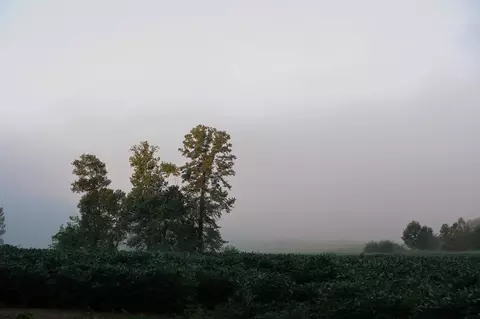 Other - 0 Collier Bend Rd, Dickson, TN 37055 photo 3 of 35
