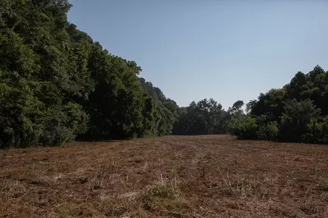 Other - 0 Collier Bend Rd, Dickson, TN 37055 photo 22 of 35