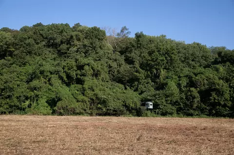 Other - 0 Collier Bend Rd, Dickson, TN 37055 photo 21 of 35