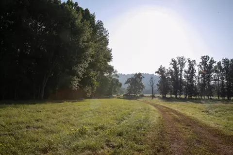 Other - 0 Collier Bend Rd, Dickson, TN 37055 photo 16 of 35