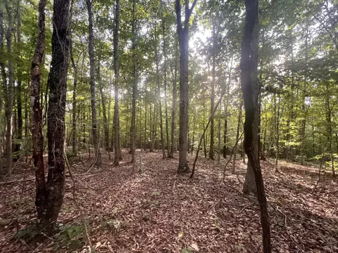 0 Vickers Rd, Big Sandy, TN 38221