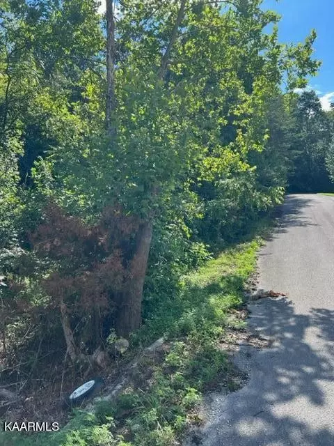 0 Forest Meadow Ln, New Tazewell, TN 37825