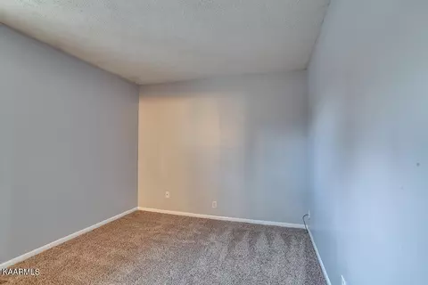 7708 Nicholas Dr, Corryton, TN 37721 photo 13