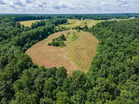 View/Area - 202 Weakley Loop, Ethridge, TN 38456 photo 6 of 9
