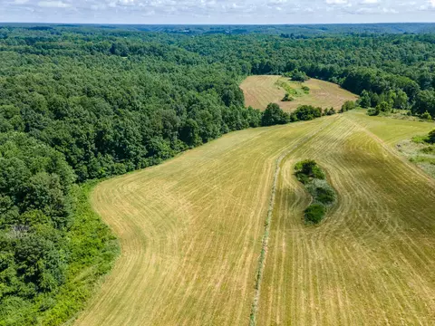 View/Area - 202 Weakley Loop, Ethridge, TN 38456 photo 5 of 9