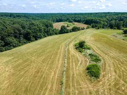 View/Area - 202 Weakley Loop, Ethridge, TN 38456 photo 9 of 9