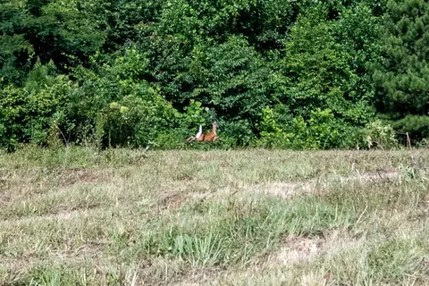 Other - 202 Weakley Loop, Ethridge, TN 38456 photo 4 of 5