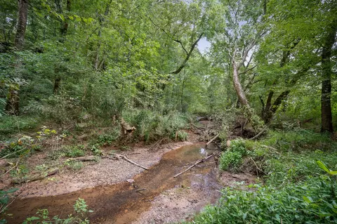Other - 1977 Pollard Rd, Walling, TN 38587 photo 6 of 16