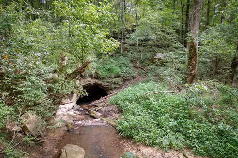 Other - 1977 Pollard Rd, Walling, TN 38587 photo 7 of 16