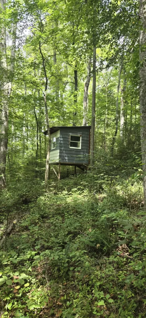 Exterior - 1977 Pollard Rd, Walling, TN 38587 photo 13 of 13