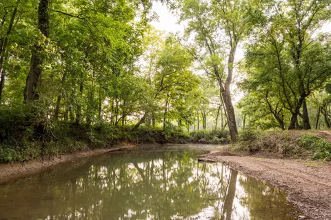 3530 Bailey Rd, Franklin, TN 37064 photo 93