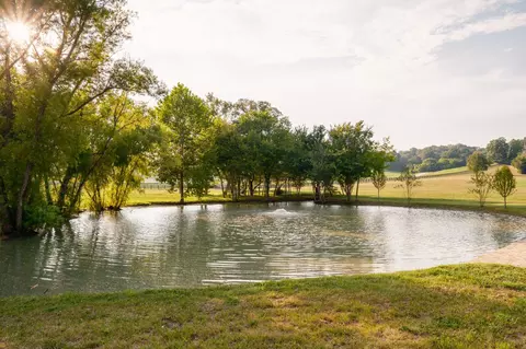 3530 Bailey Rd, Franklin, TN 37064 photo 91