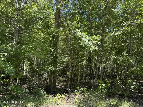 0 Goodson Tr, Monterey, TN 38574