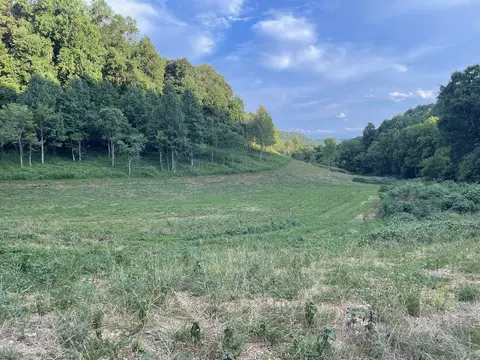 434112 Gassaway Rd, Woodbury, TN 37190