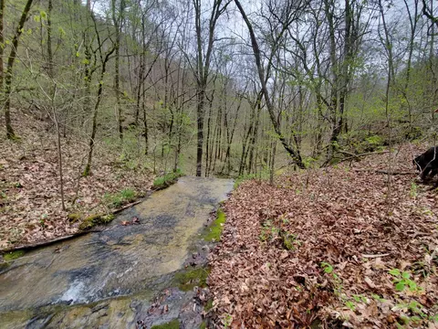 6004 Old Hohenwald Rd, Linden, TN 37096