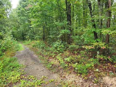 1 Peachwood Ln, Holladay, TN 38341