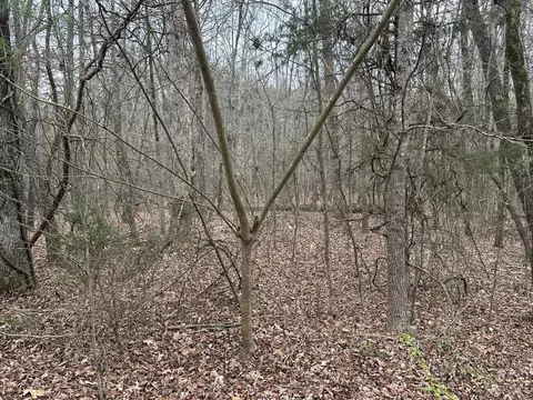 0 Hidden Ridge Loop, Dunlap, TN 37327
