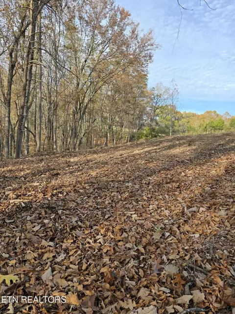 238 Norman Rd, Powell, TN 37849