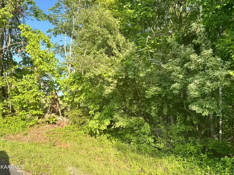 203 Gigi Trce, Loudon, TN 37774