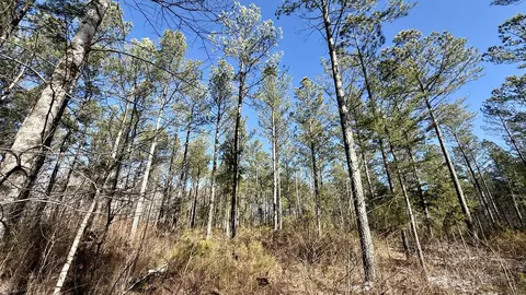 0 Sullivan Rd, Dunlap, TN 37327 photo 8