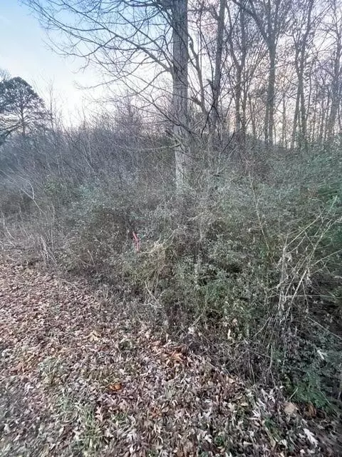 971 Tram Trl, Dunlap, TN 37327