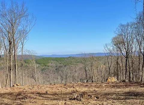 718 Wheeler Rd, Dunlap, TN 37327 photo 17