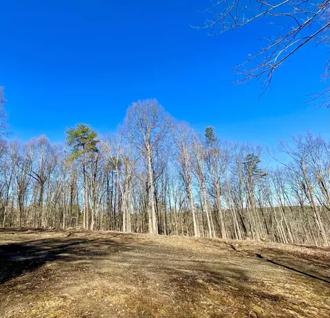 718 Wheeler Rd, Dunlap, TN 37327 photo 19