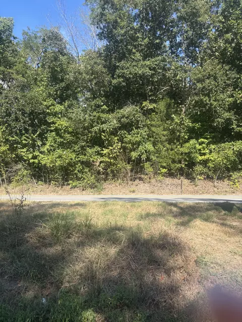 0 Hwy 48 N, Cumberland Furnace, TN 37051
