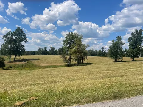 1266 Old Buck Creek Rd, Adolphus, KY 42120