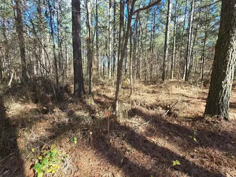 0 Melody Dr, Guild, TN 37340 photo 9