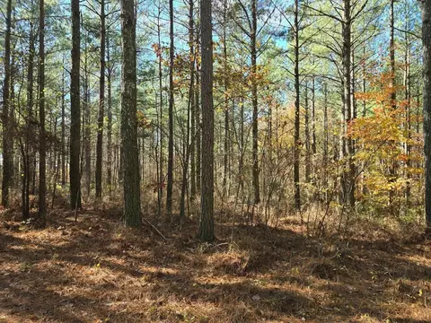 0 Melody Dr, Guild, TN 37340 photo 11