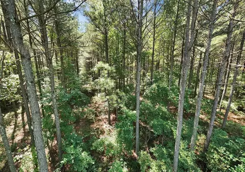 0 Melody Dr, Guild, TN 37340 photo 2