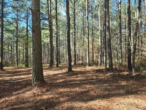 0 Melody Dr, Guild, TN 37340 photo 7
